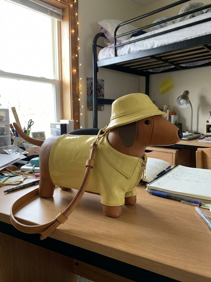 Handmade Dog Bag