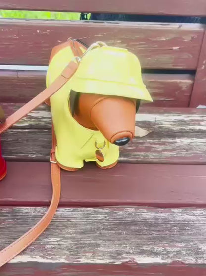 Handmade Dog Bag
